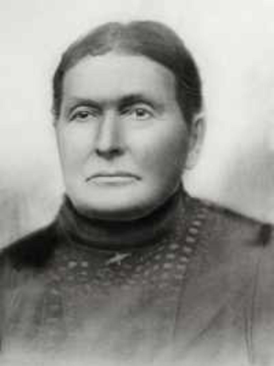 Rebecca Ann Price (1845 - 1929) Profile